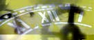 Birth certificate logo